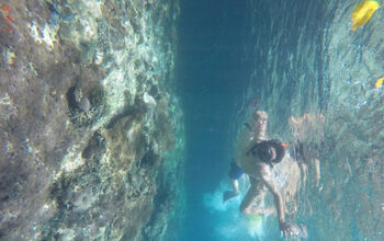 Nusa Penida Tour Package Service 2 Days 1 Night Stay Plus Snorkeling Service Nusa Beach Travel